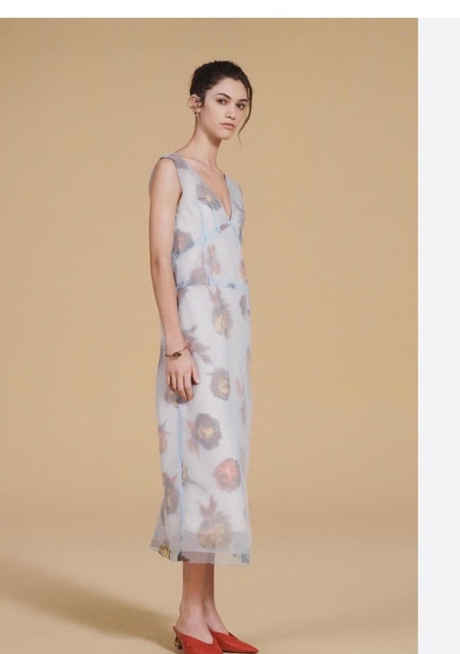 Viral Collection Zara Dress With Slip Light Blue Roses Feels Roca￼Small
